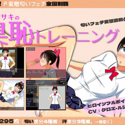 スマホエロゲレビュー